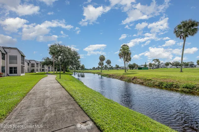 a view of a park with large trees