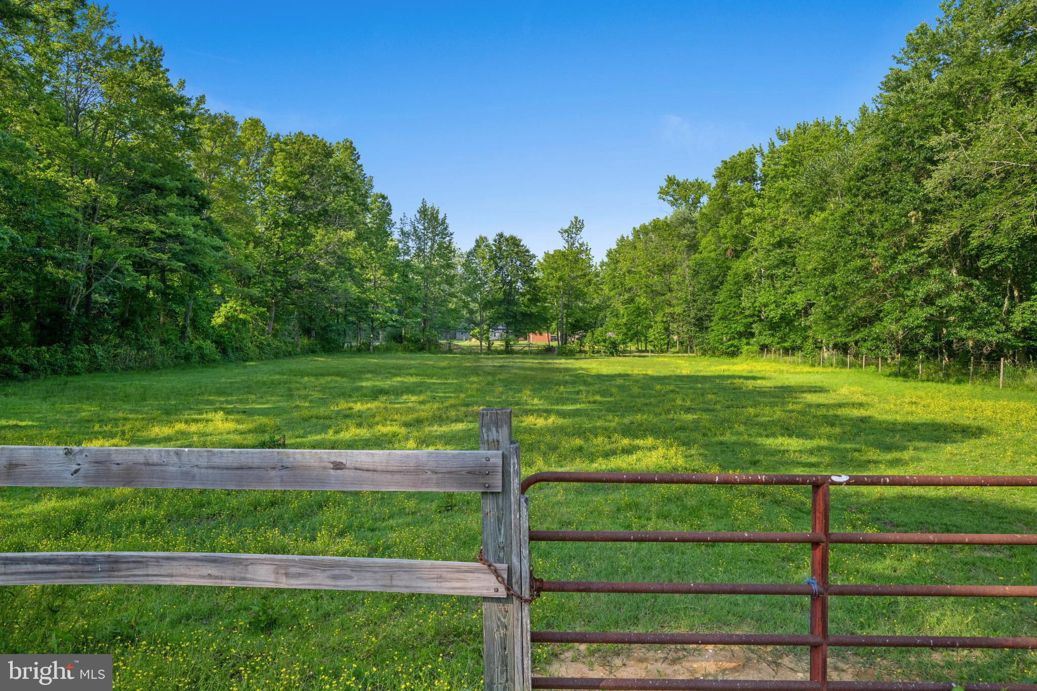0 Fort Mott Road Pennsville, NJ 08070 - Photo 6 of 18 a view of a park with large trees