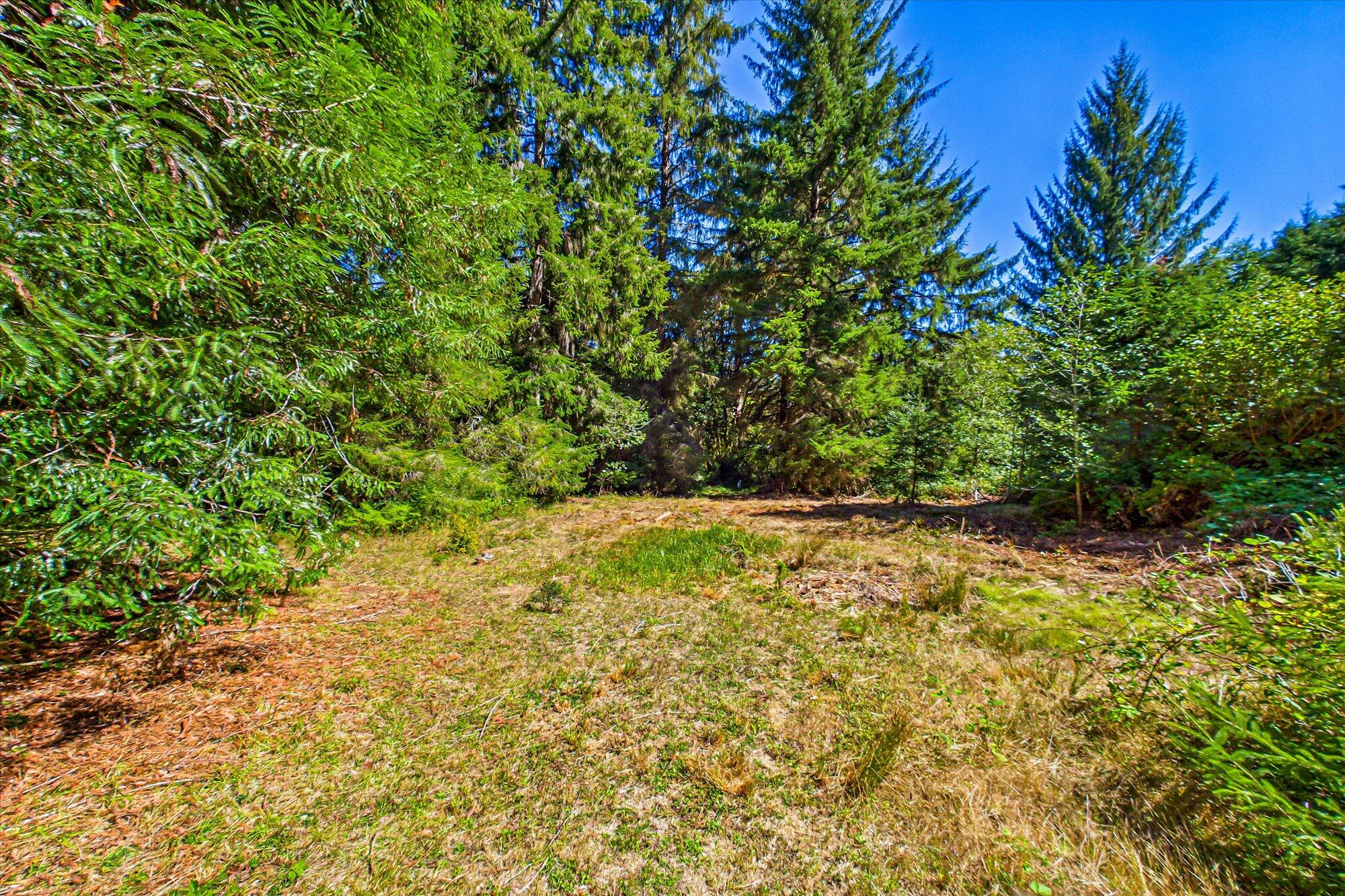 3924 Old Railroad Grade Road McKinleyville, CA 95521 - Photo 54 of 71 54-3924 Old Railroad-147