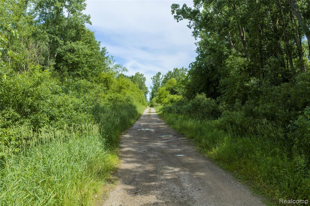10069 Silver Lake Road Linden, MI 48451 - Photo 13 of 28