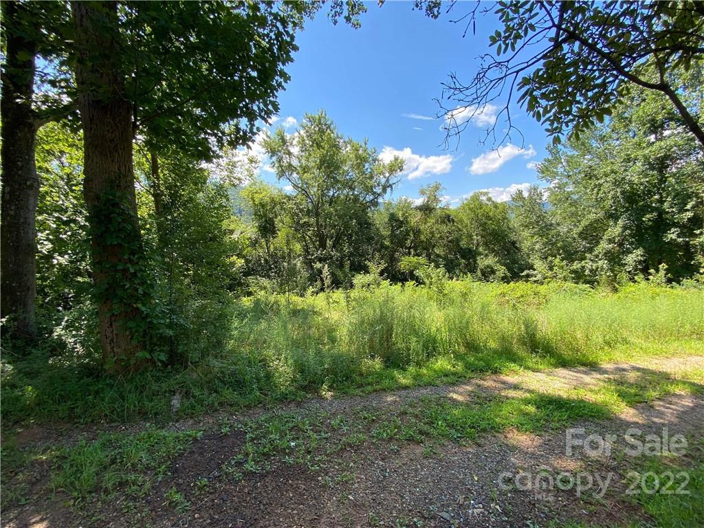 9 Jordan Road Swannanoa, NC 28778 - Photo 3 of 40 Gallery Image 3