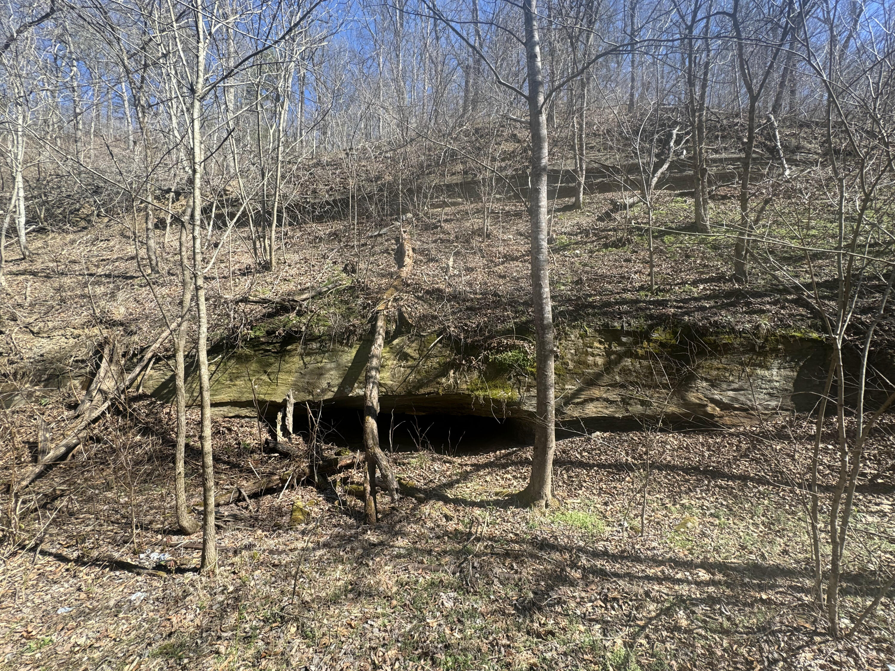 97 Curt Conway Road Regina, KY 41559 - Photo 7 of 29 IMG_3511