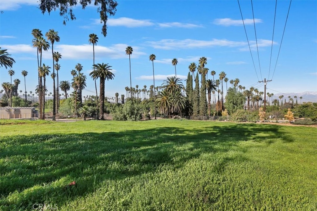 1619 Gratton Street Riverside, CA 92504 - Photo 57 of 62