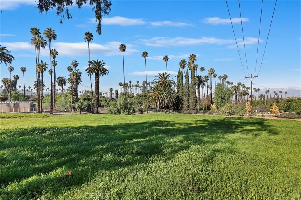 1619 Gratton Street Riverside, CA 92504 - Photo 57 of 62