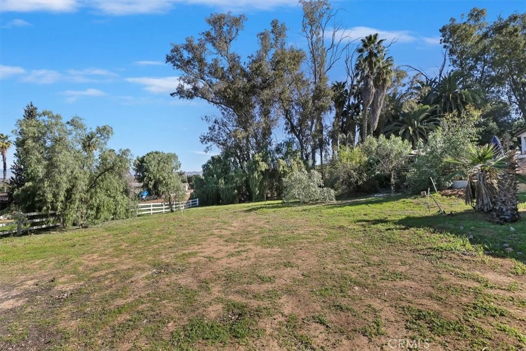 1619 Gratton Street Riverside, CA 92504 - Photo 58 of 62 a view of a yard with a tree