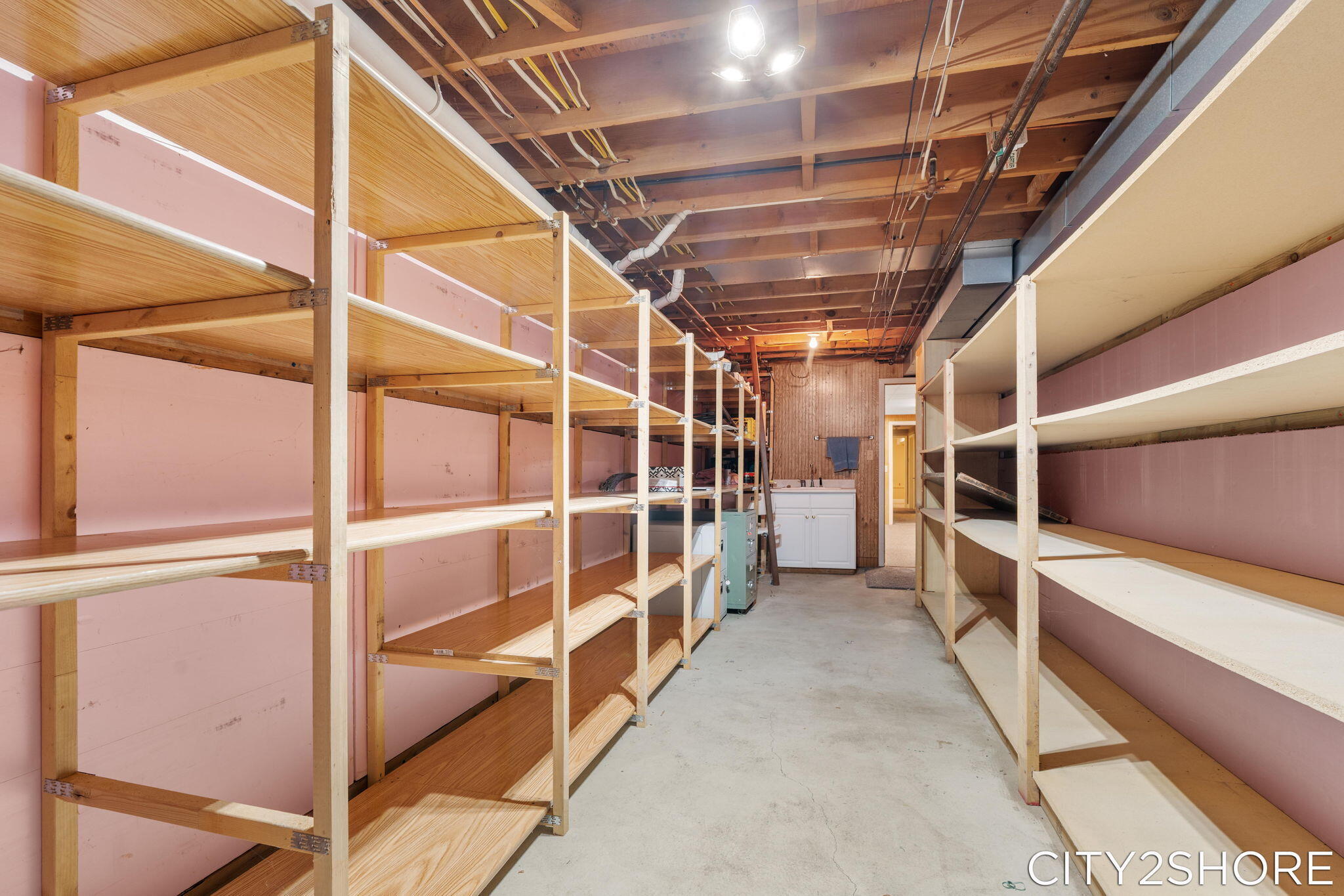 8351 Pleasant Ridge Court Jenison, MI 49428 - Photo 47 of 75 Lower Storage