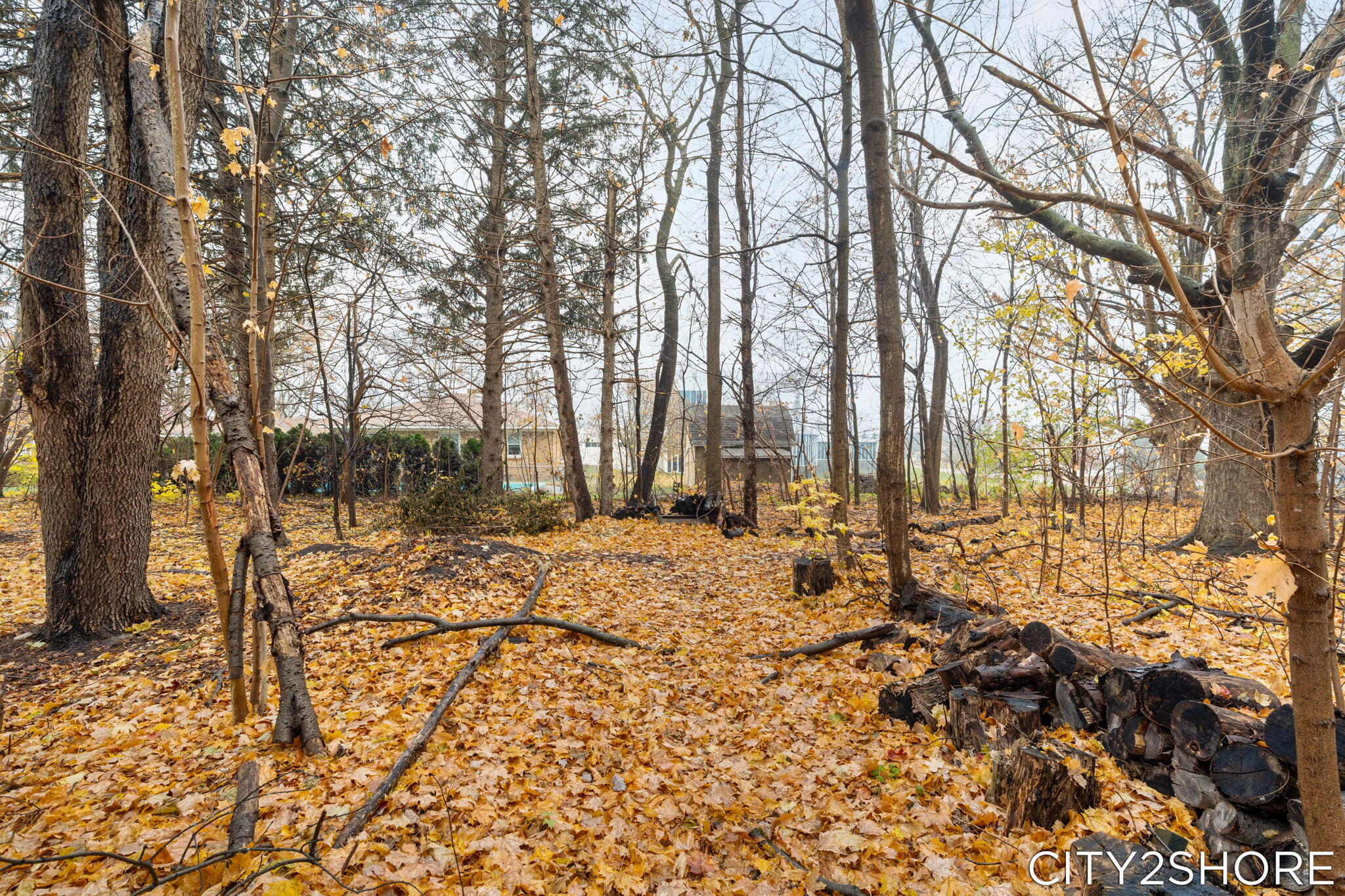 8351 Pleasant Ridge Court Jenison, MI 49428 - Photo 59 of 75 Back Yard