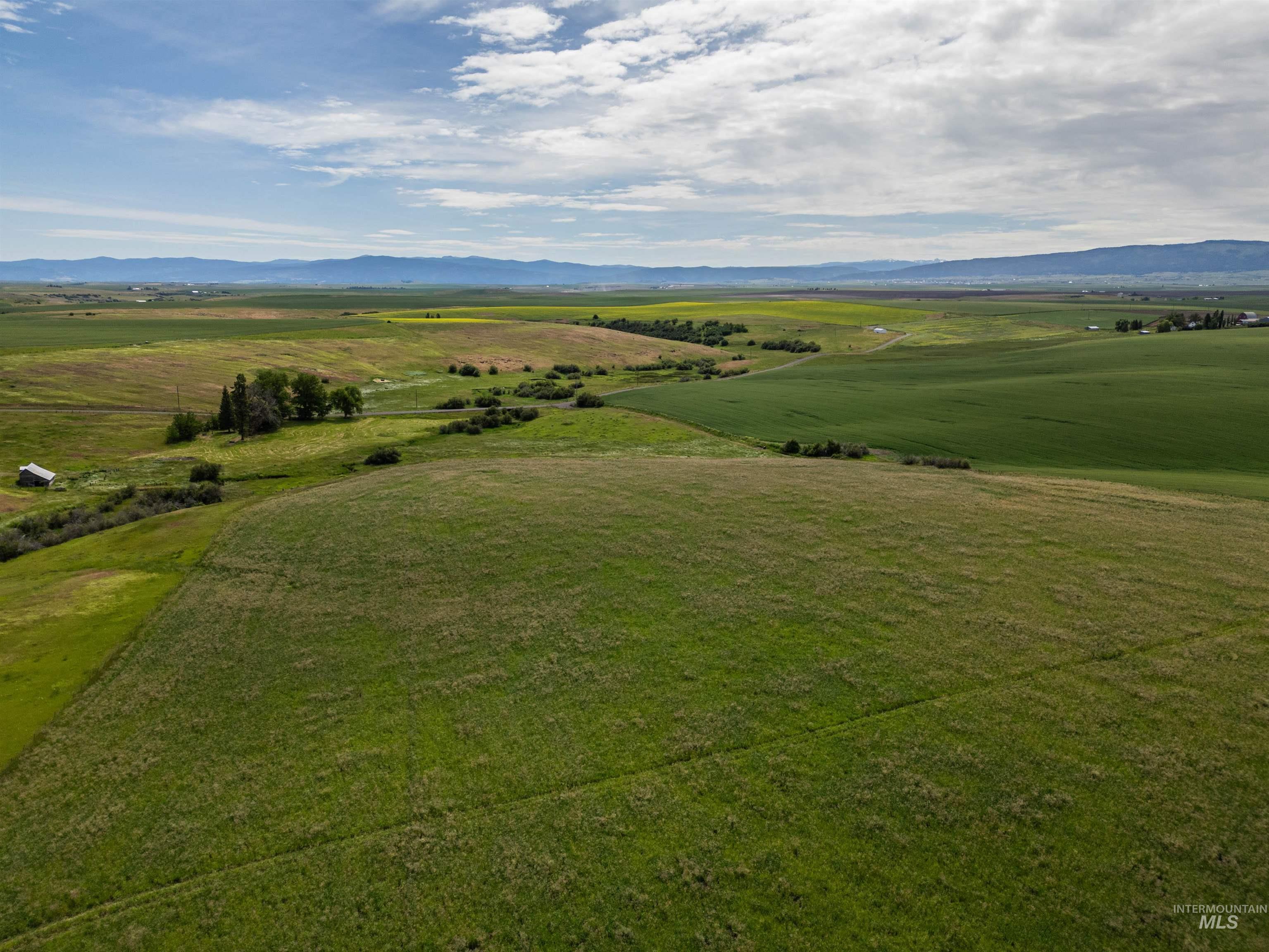 Tbd Wasem Road Grangeville, ID 83530 - Photo 4 of 11