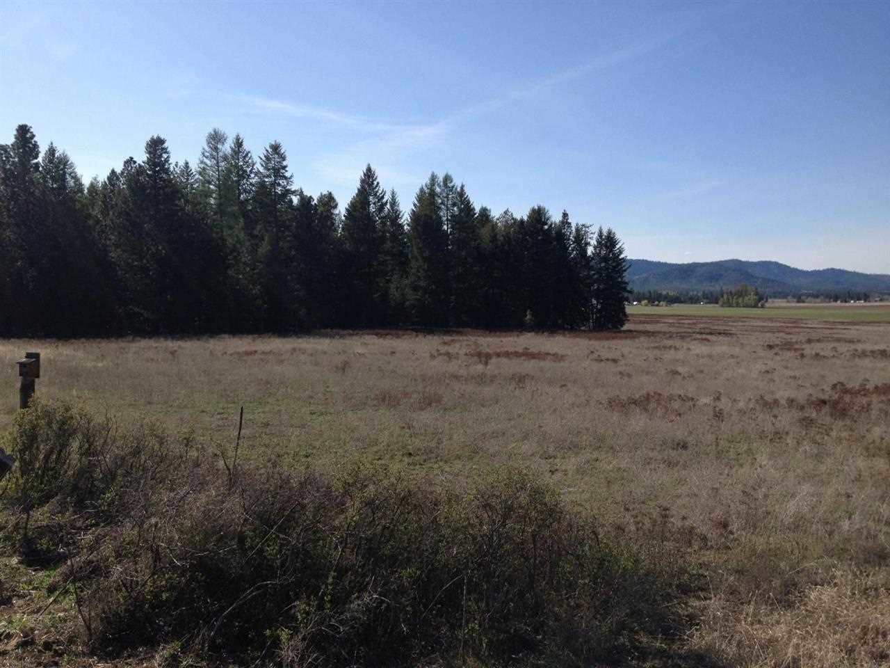 0 South Swenson Road Clayton, WA 99110 - Photo 1 of 2