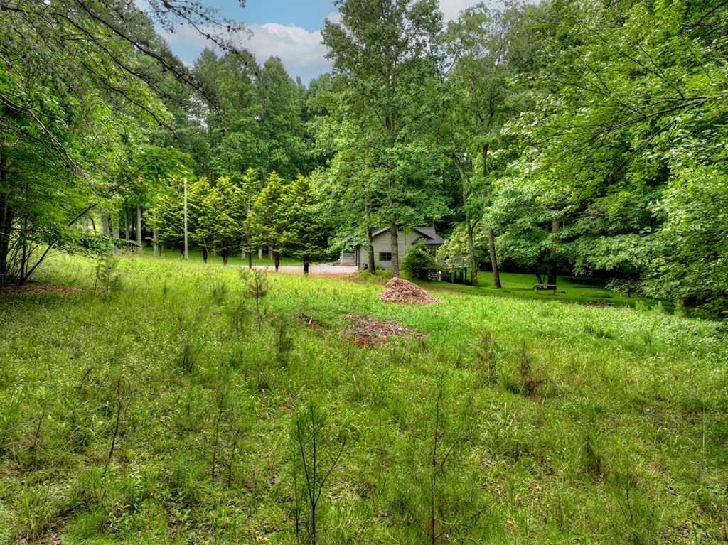 232 Chestnut Gap Road Blue Ridge, GA 30513 - Photo 33 of 37