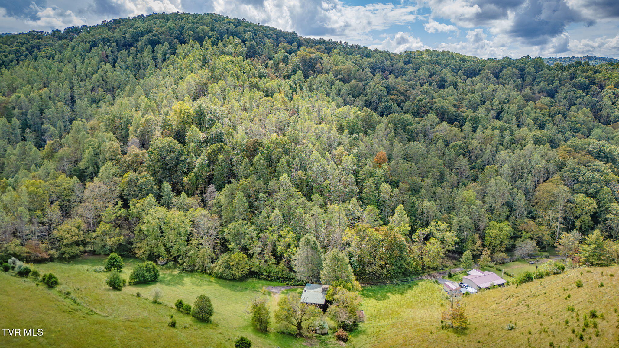 205 Helton Hollow Road Eidson, TN 37731 - Photo 39 of 41 104h