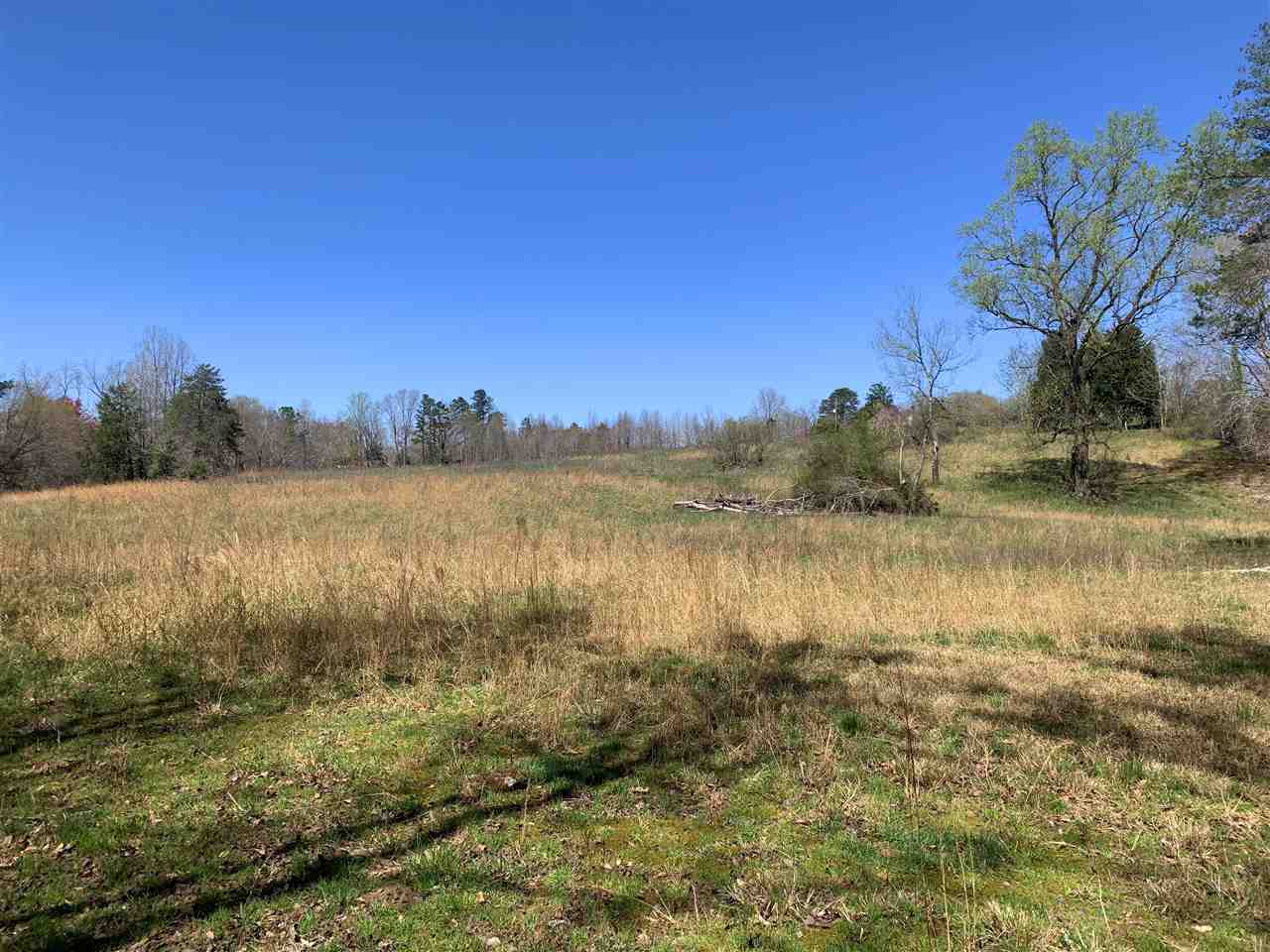 215 Red Barn Road Landrum, SC 29356 - Photo 18 of 25