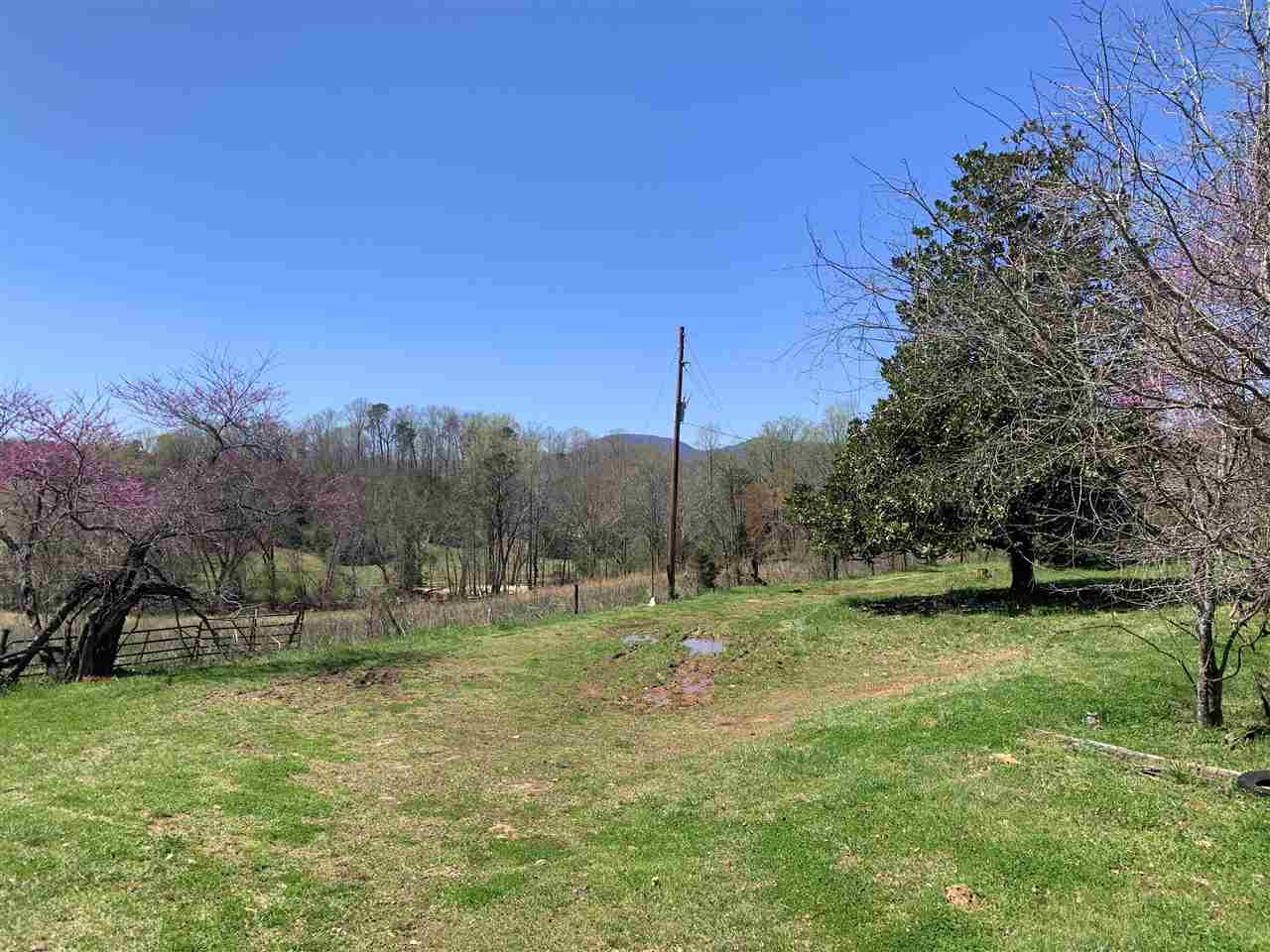 215 Red Barn Road Landrum, SC 29356 - Photo 3 of 25
