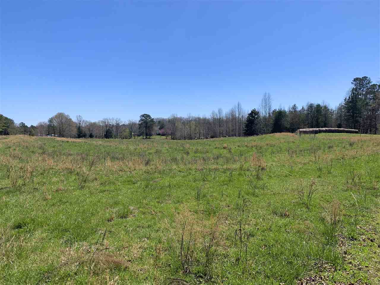 215 Red Barn Road Landrum, SC 29356 - Photo 4 of 25