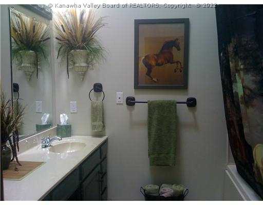3700 Hurricane Creek Road Winfield, WV 25213 - Photo 11 of 15 Master Bath/Spa.