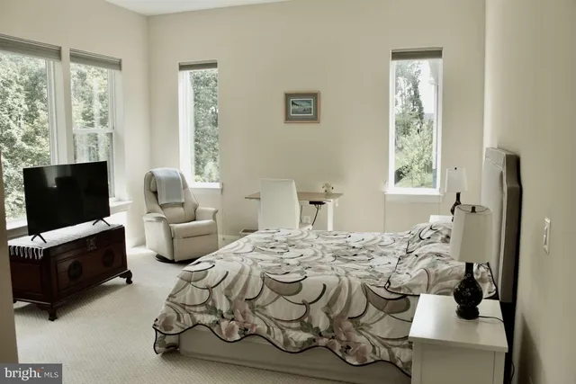 a close up of a plant