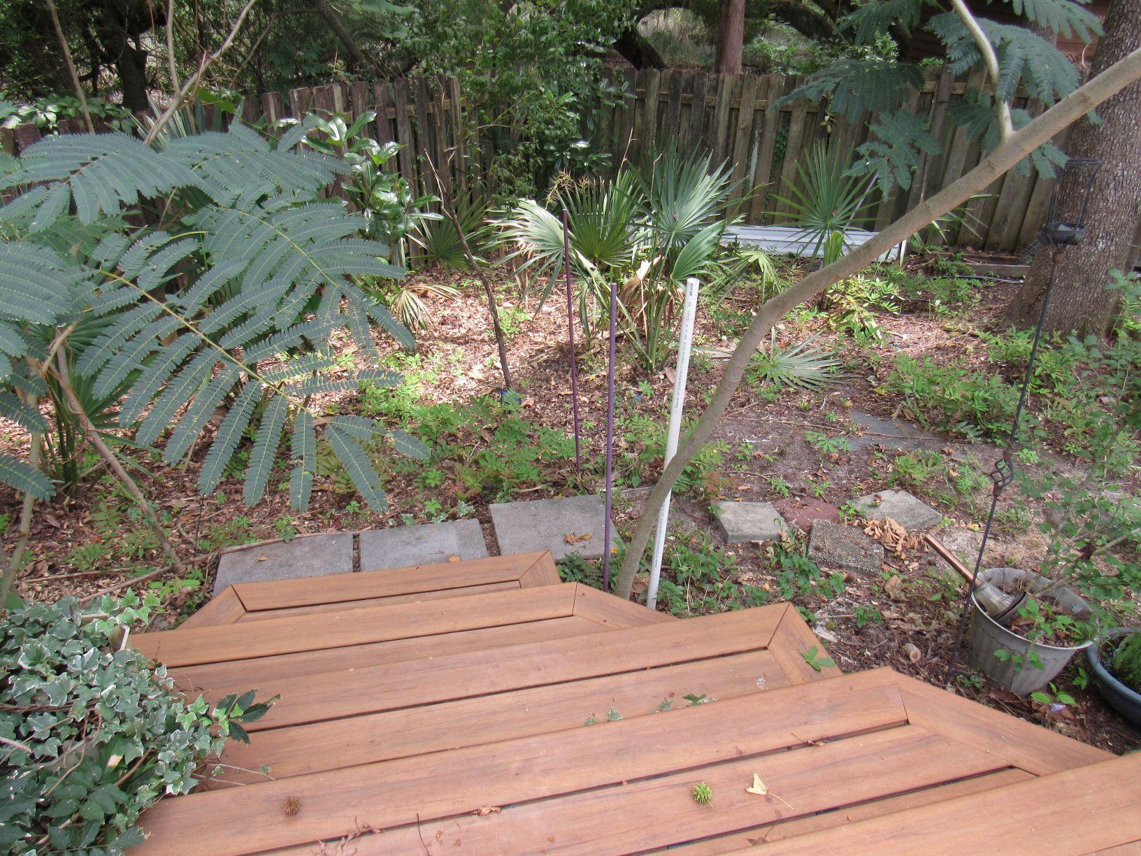 5764 Wyncliff Road North Charleston, SC 29418 - Photo 25 of 26 rear yard1