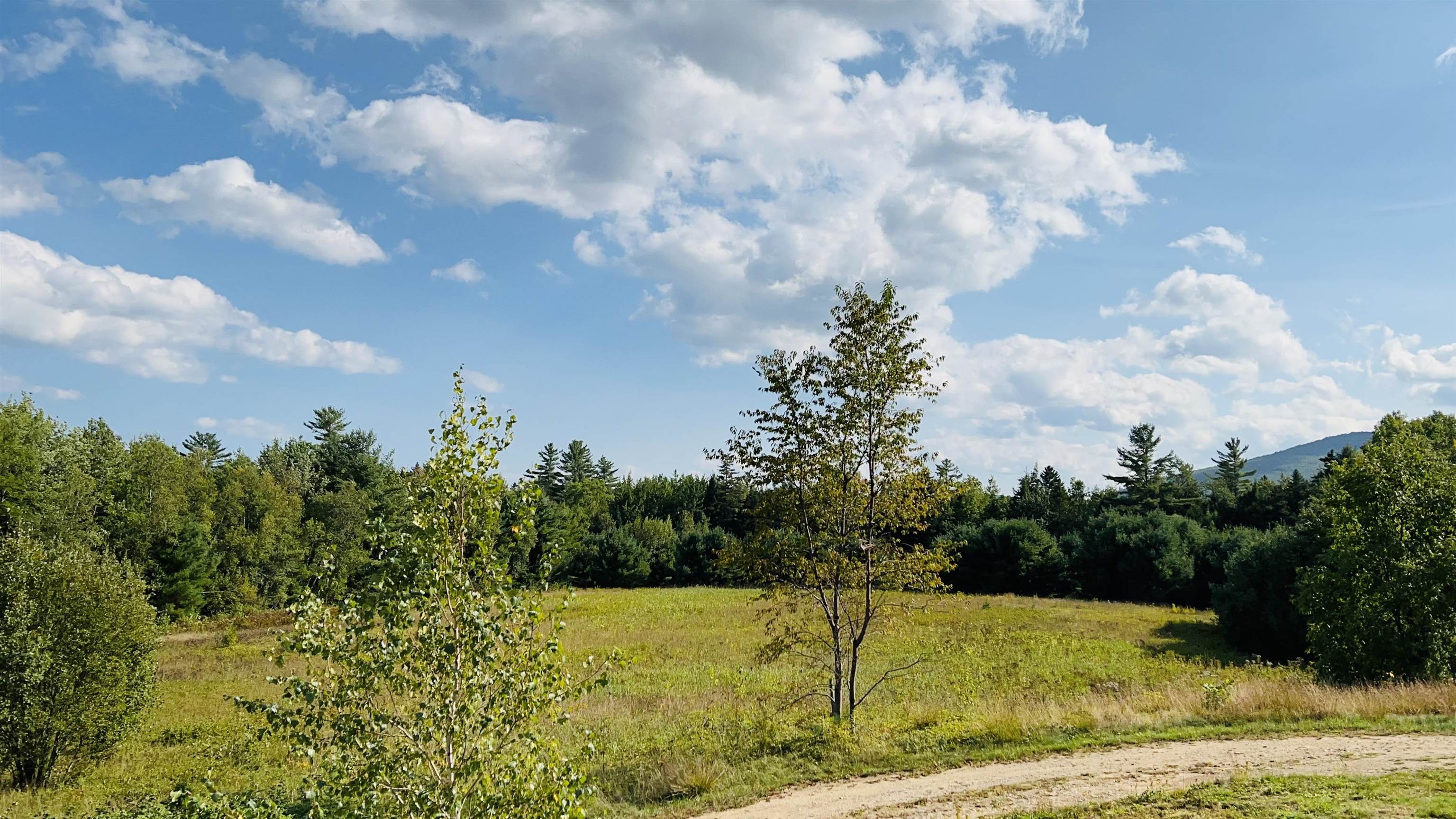 1310 Main Road Chatham, NH 03813 - Photo 24 of 24