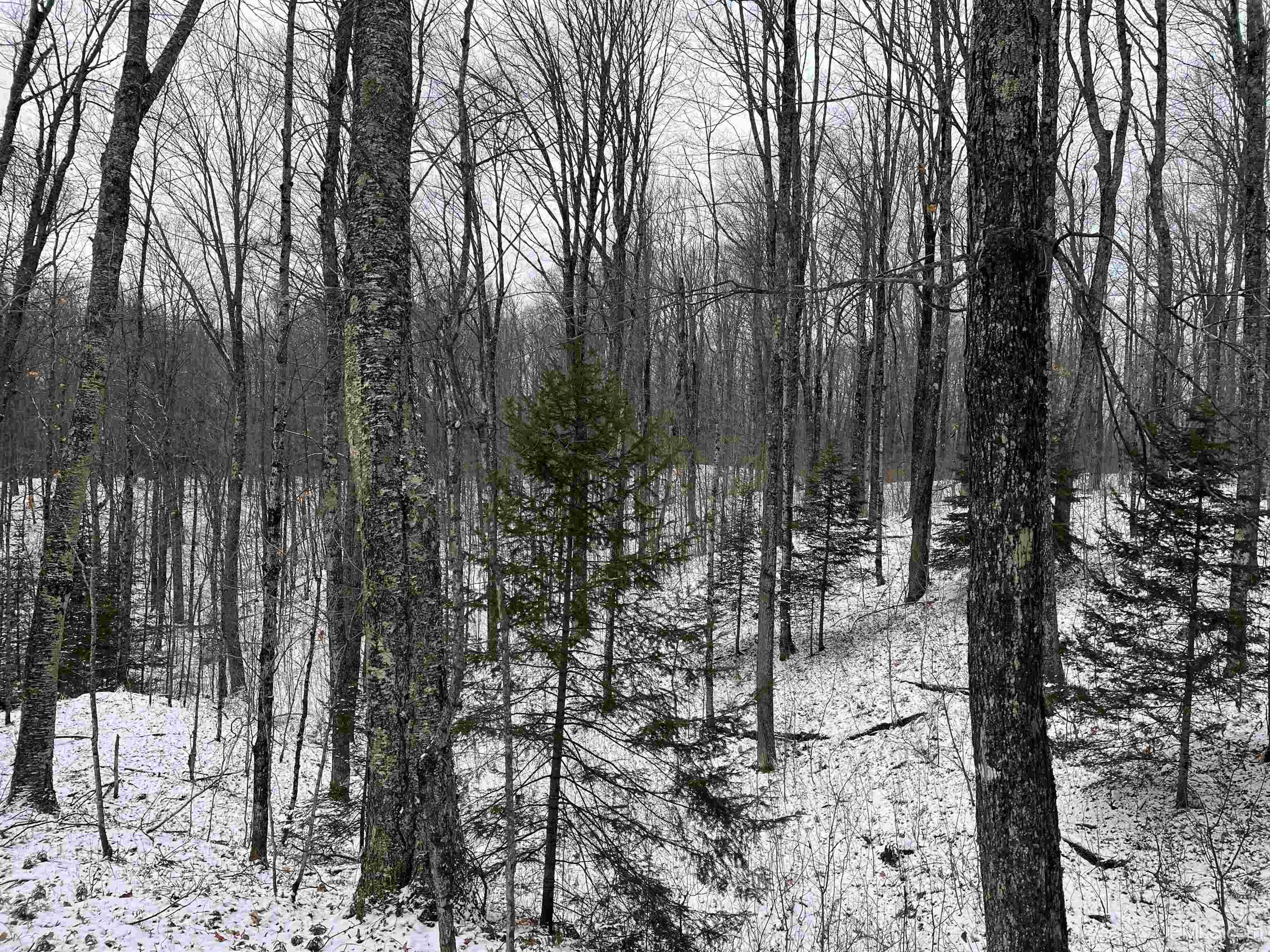 545 South Rd Skandia Mi 49885 Road Skandia, MI 49885 - Photo 37 of 38