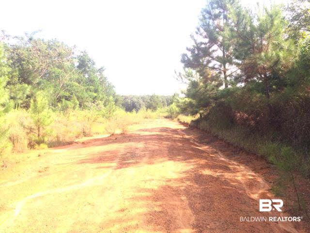 24819 Friendship Road Daphne, AL 36526 - Photo 5 of 6