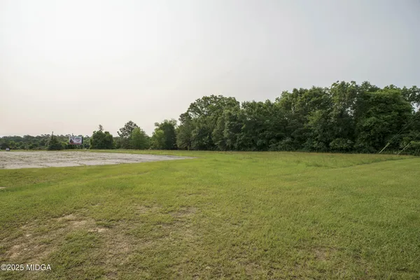 a view of a field with an ocean