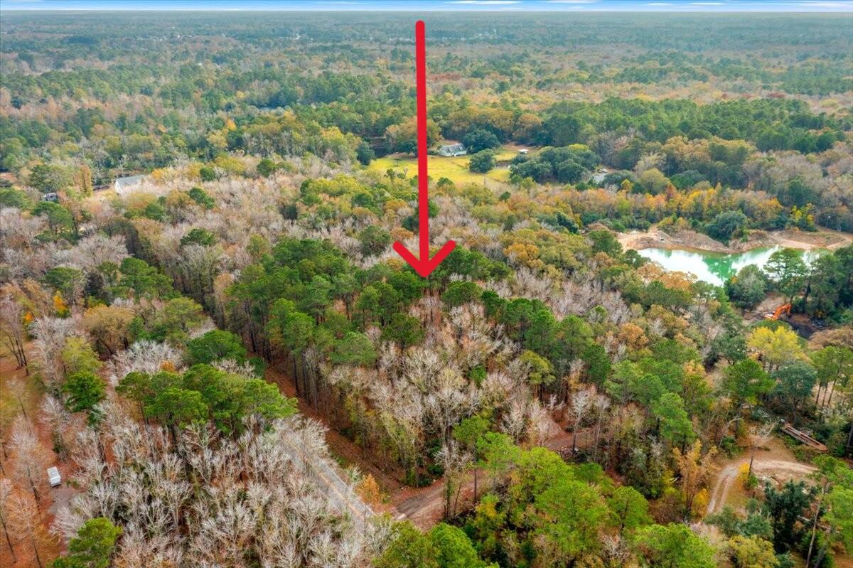 3047 Fickling Hill Road, Unit C2 Johns Island, SC 29455 - Photo 9 of 12 Fickling Hill - aerial without lines