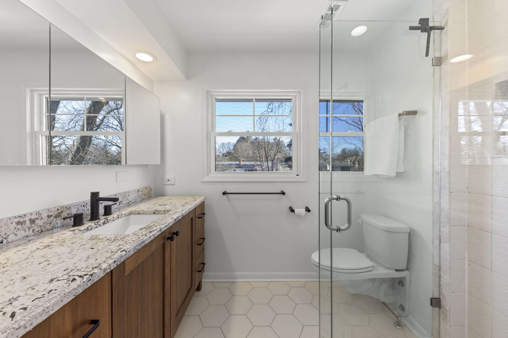 291 Spring Avenue Glen Ellyn, IL 60137 - Photo 18 of 35 a bathroom with a granite countertop sink a toilet and shower