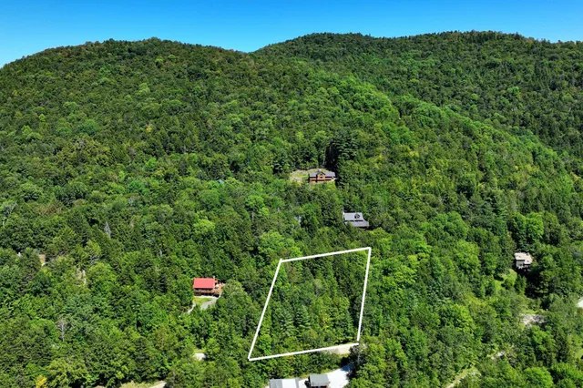 $69,000 | Lot 49 Spring Street, Pittsfield, VT 05762