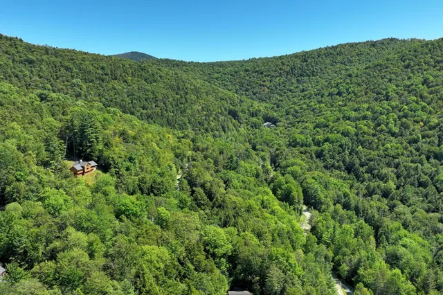 $69,000 | Lot 49 Spring Street, Pittsfield, VT 05762