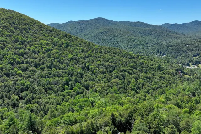 $69,000 | Lot 49 Spring Street, Pittsfield, VT 05762