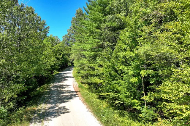 $69,000 | Lot 49 Spring Street, Pittsfield, VT 05762