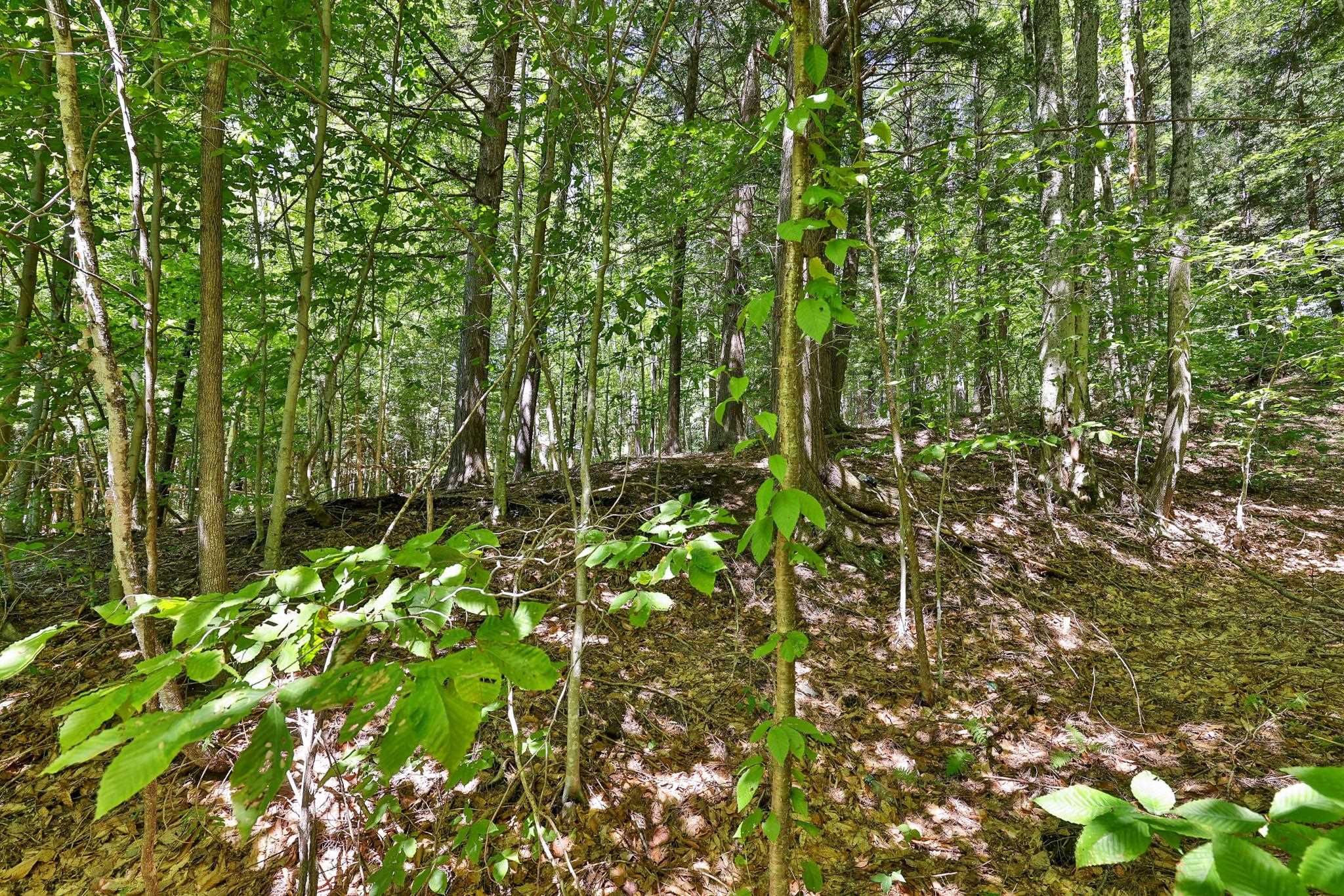 Lot 49 Spring Street Pittsfield, VT 05762 - Photo 4 of 14