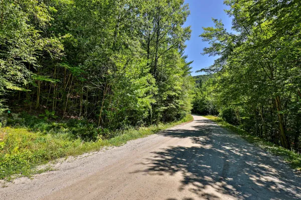 $69,000 | Lot 49 Spring Street, Pittsfield, VT 05762