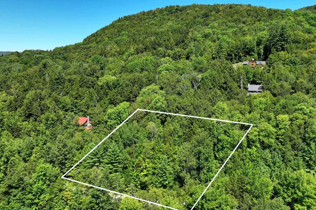 $69,000 | Lot 49 Spring Street, Pittsfield, VT 05762