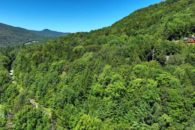 $69,000 | Lot 49 Spring Street, Pittsfield, VT 05762