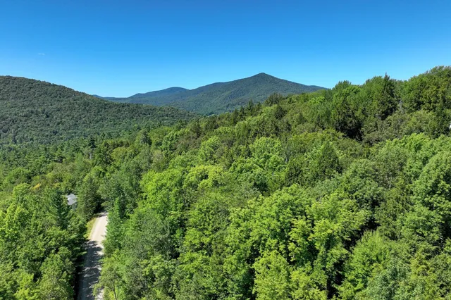 $69,000 | Lot 49 Spring Street, Pittsfield, VT 05762