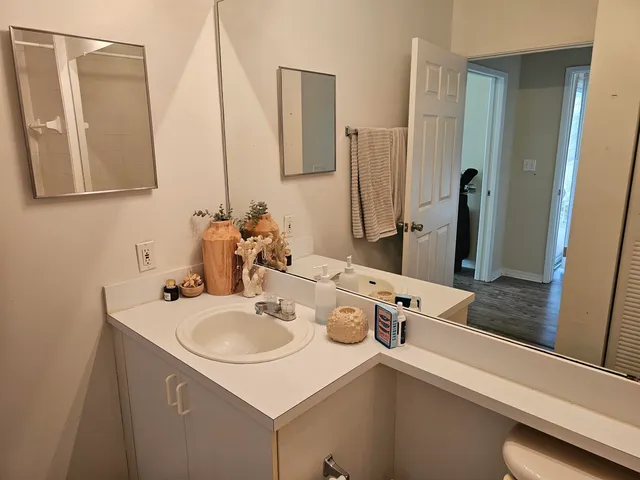 a bathroom with a sink and a mirror