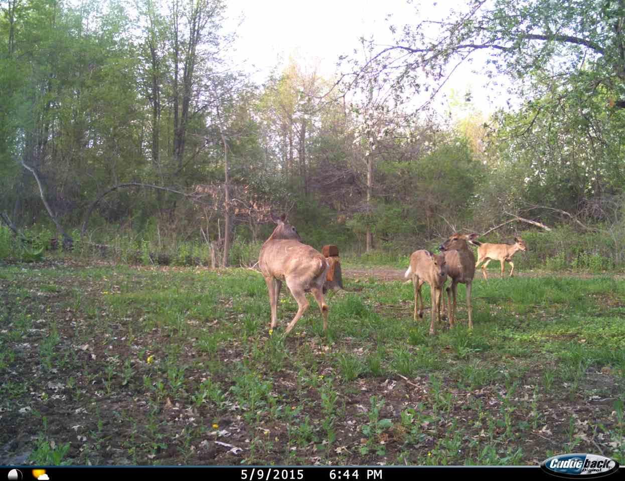 12000 Stephenson Road, Unit PARCEL A Brooklyn, MI 49230 - Photo 30 of 49
