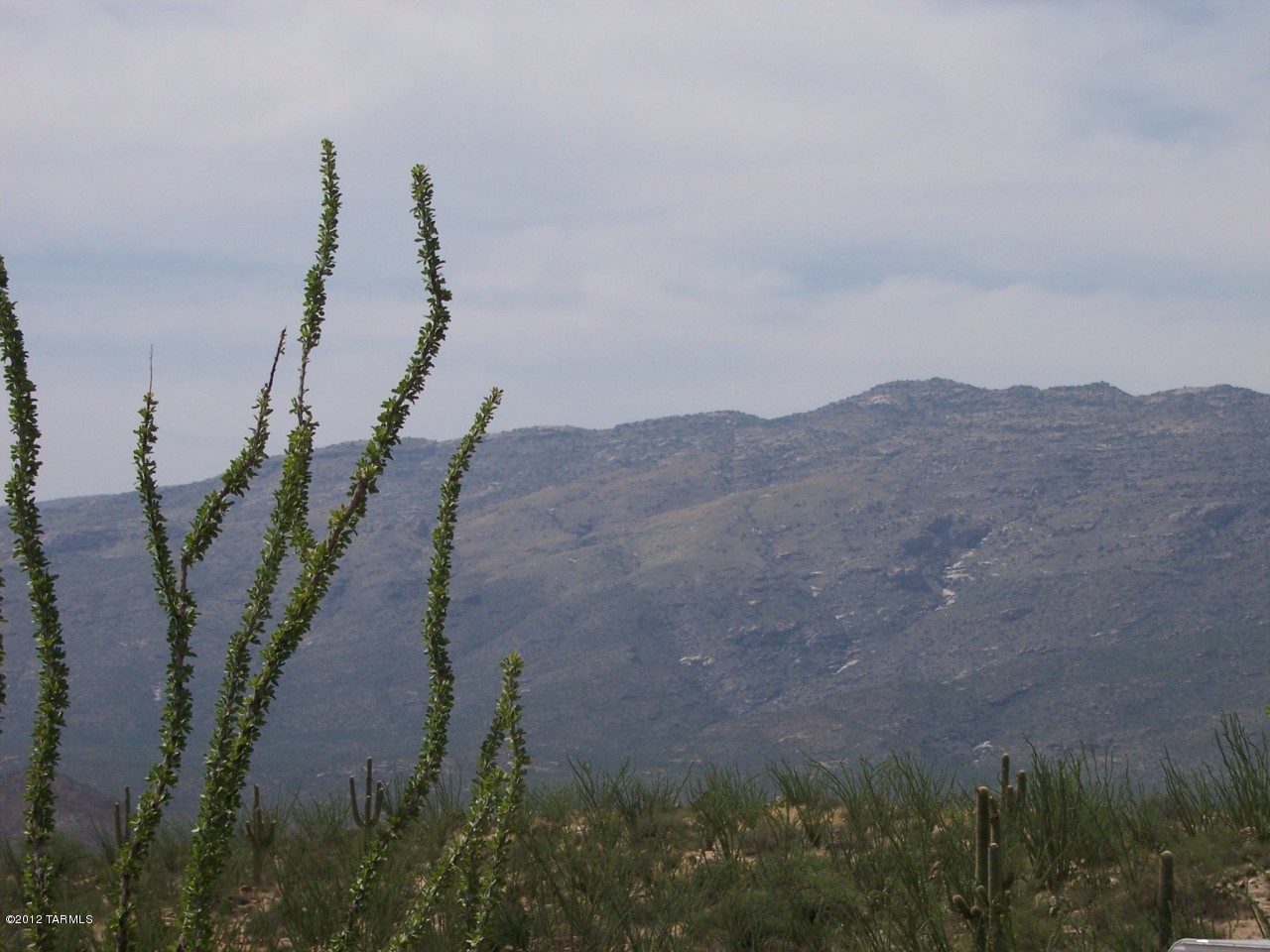 Gila Monster Way Vail, AZ 85641 - Photo 1 of 6
