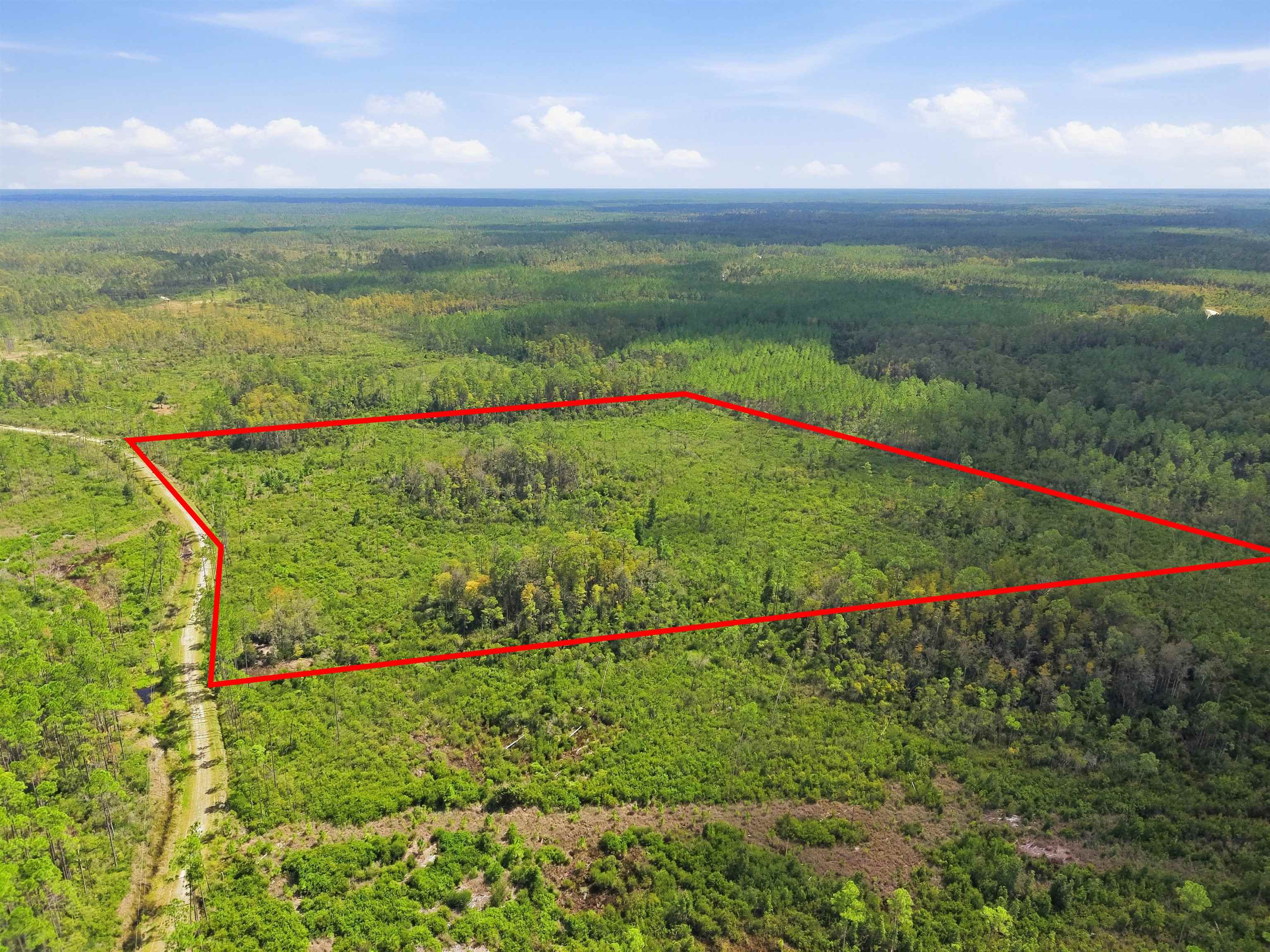 77 Circle Block Loop Perry, FL 32347 - Photo 1 of 22 Gallery Image 1