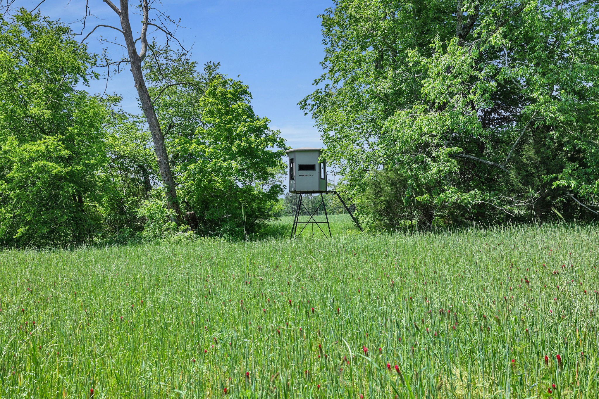 0 Shoulder Strap Branch Road Vanleer, TN 37181 - Photo 1 of 40 Gallery Image 1