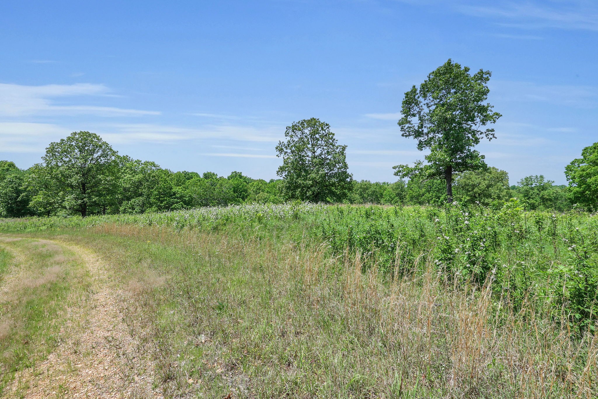 0 Shoulder Strap Branch Road Vanleer, TN 37181 - Photo 11 of 40 Gallery Image 11