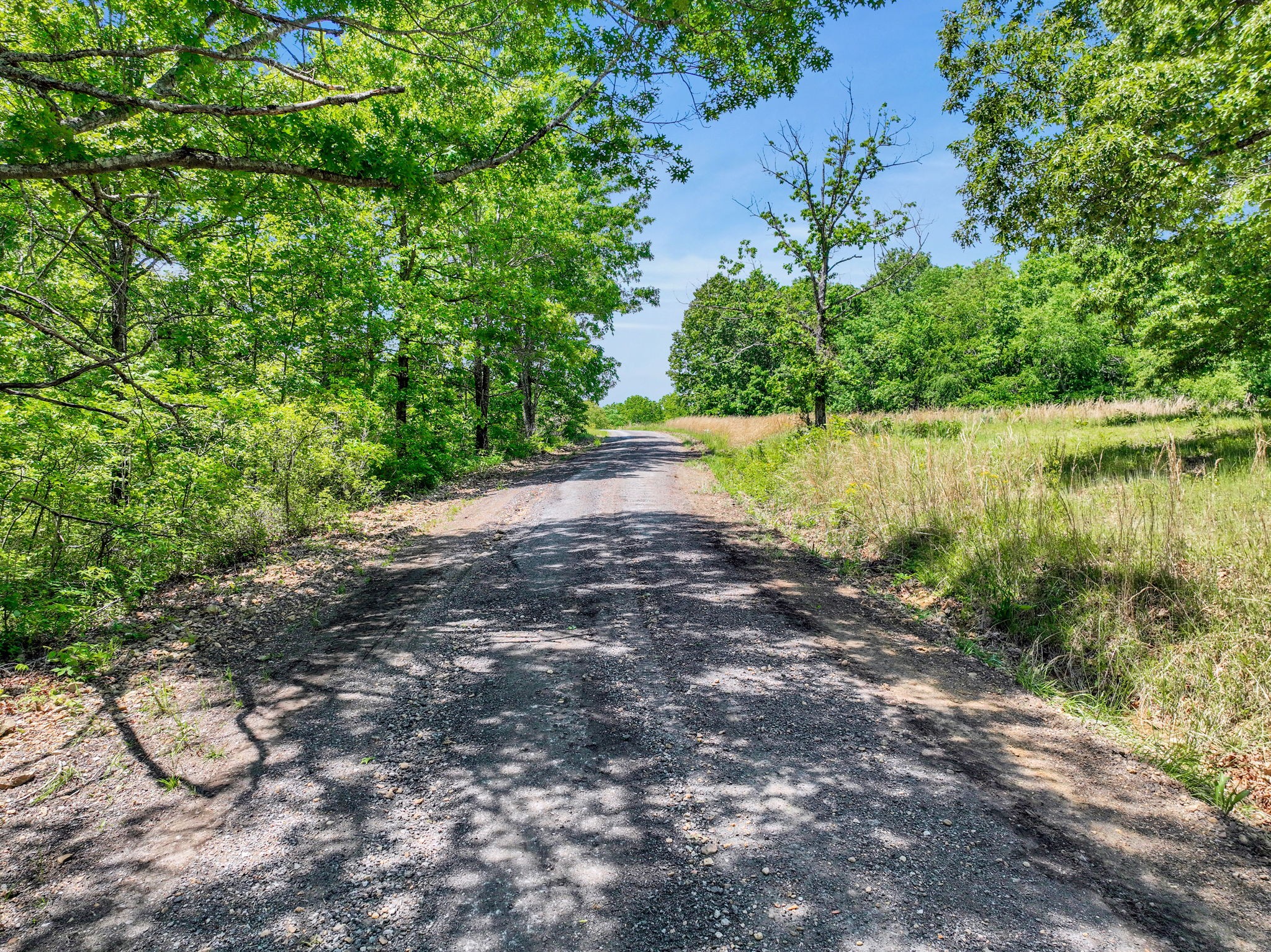 0 Shoulder Strap Branch Road Vanleer, TN 37181 - Photo 13 of 40 Gallery Image 13