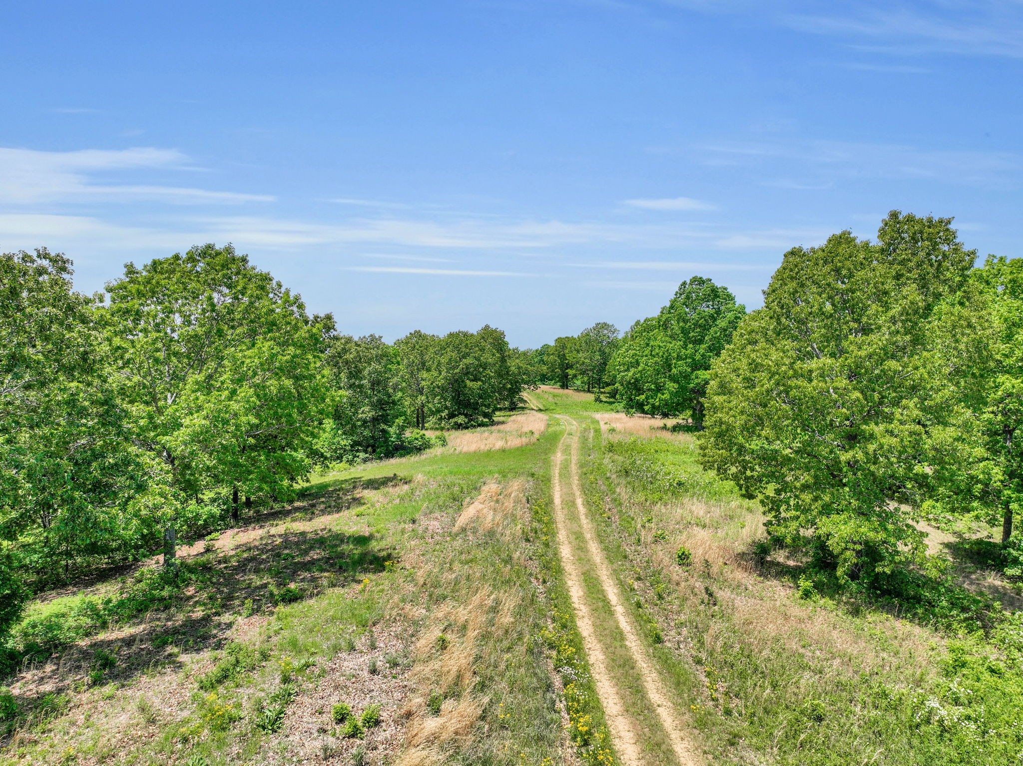 0 Shoulder Strap Branch Road Vanleer, TN 37181 - Photo 14 of 40 Gallery Image 14