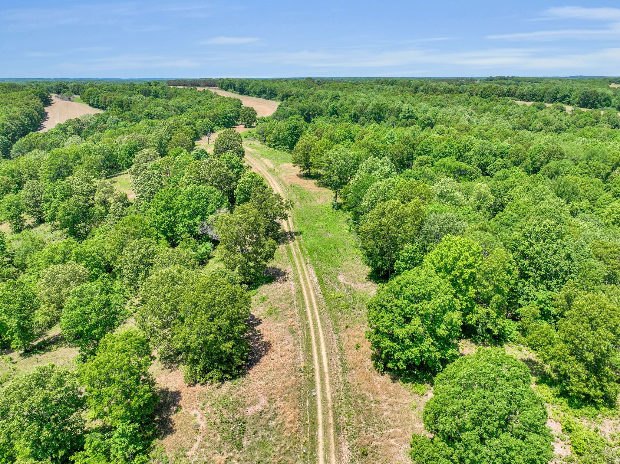 0 Shoulder Strap Branch Road Vanleer, TN 37181 - Photo 15 of 40 Gallery Image 15