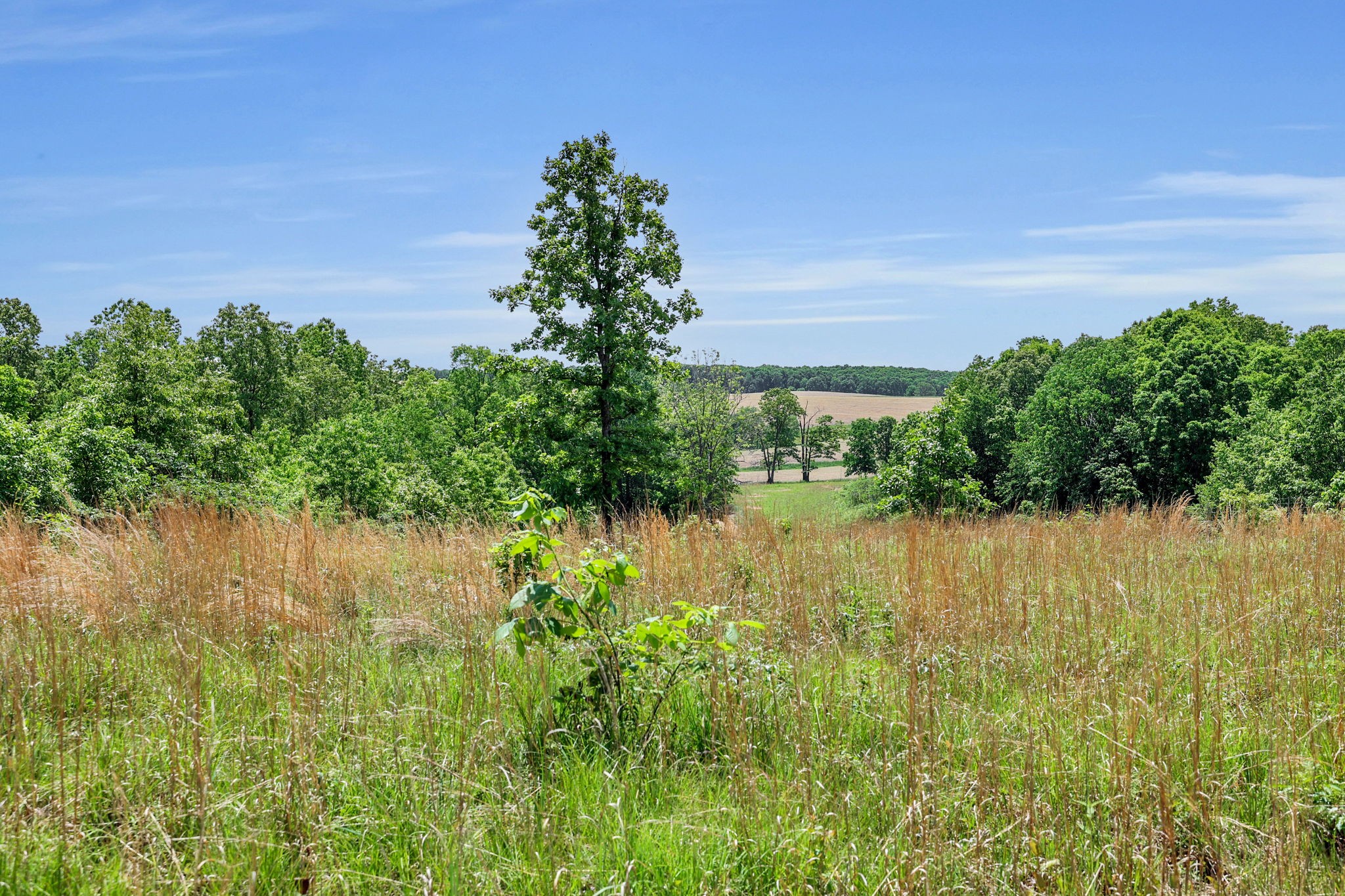 0 Shoulder Strap Branch Road Vanleer, TN 37181 - Photo 16 of 40 Gallery Image 16