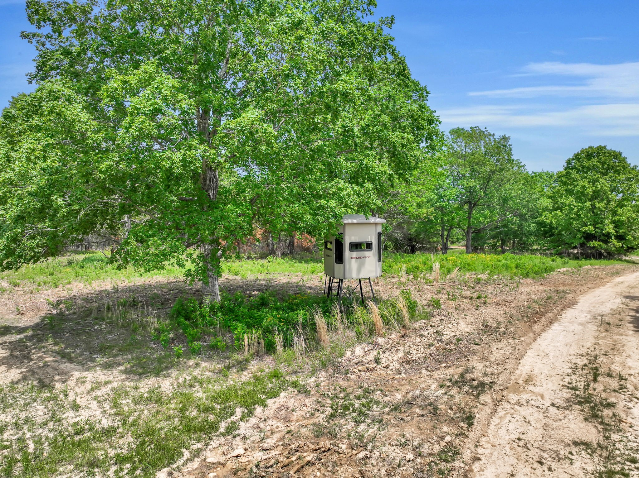 0 Shoulder Strap Branch Road Vanleer, TN 37181 - Photo 18 of 40 Gallery Image 18