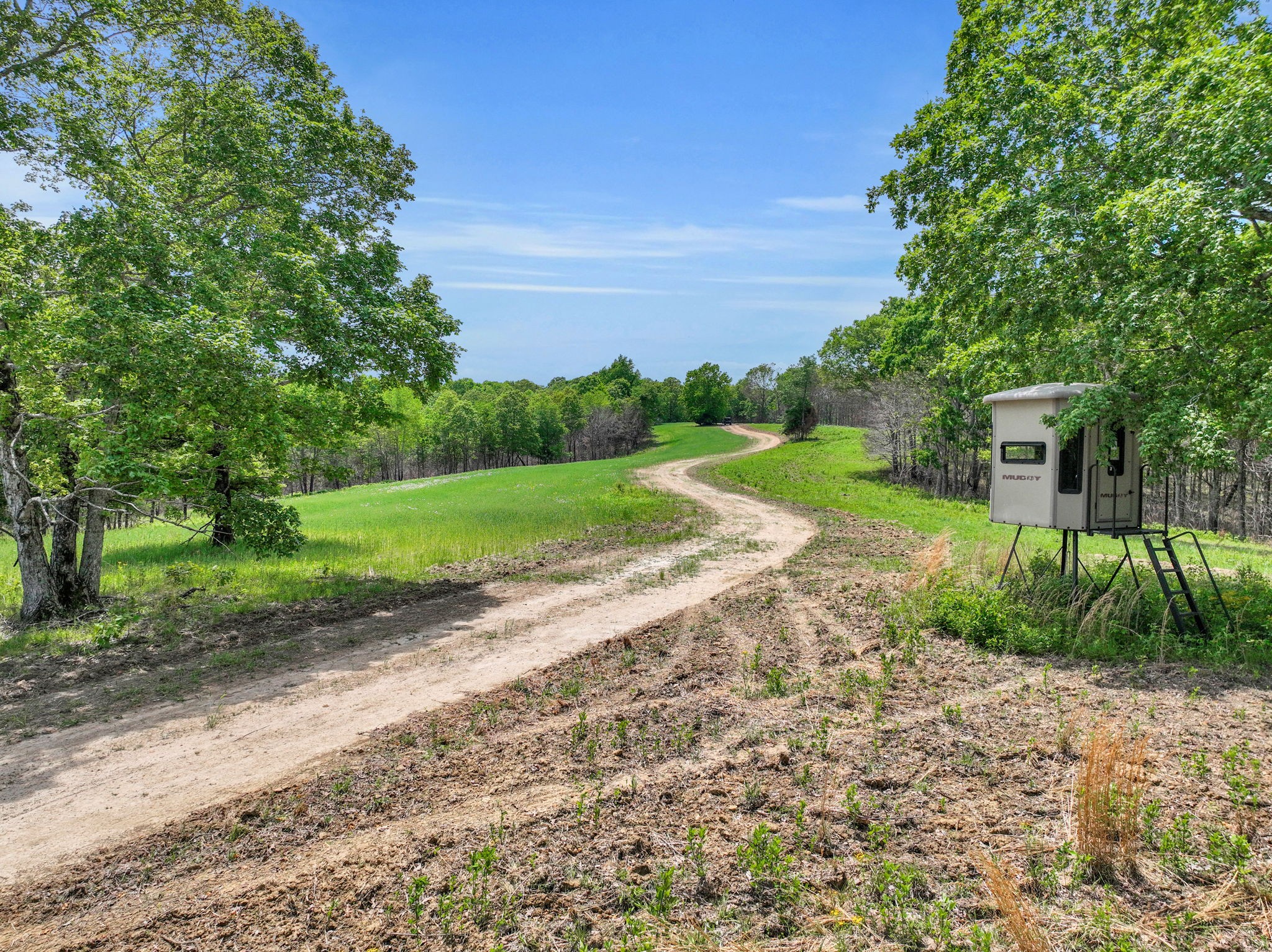 0 Shoulder Strap Branch Road Vanleer, TN 37181 - Photo 21 of 40 Gallery Image 21