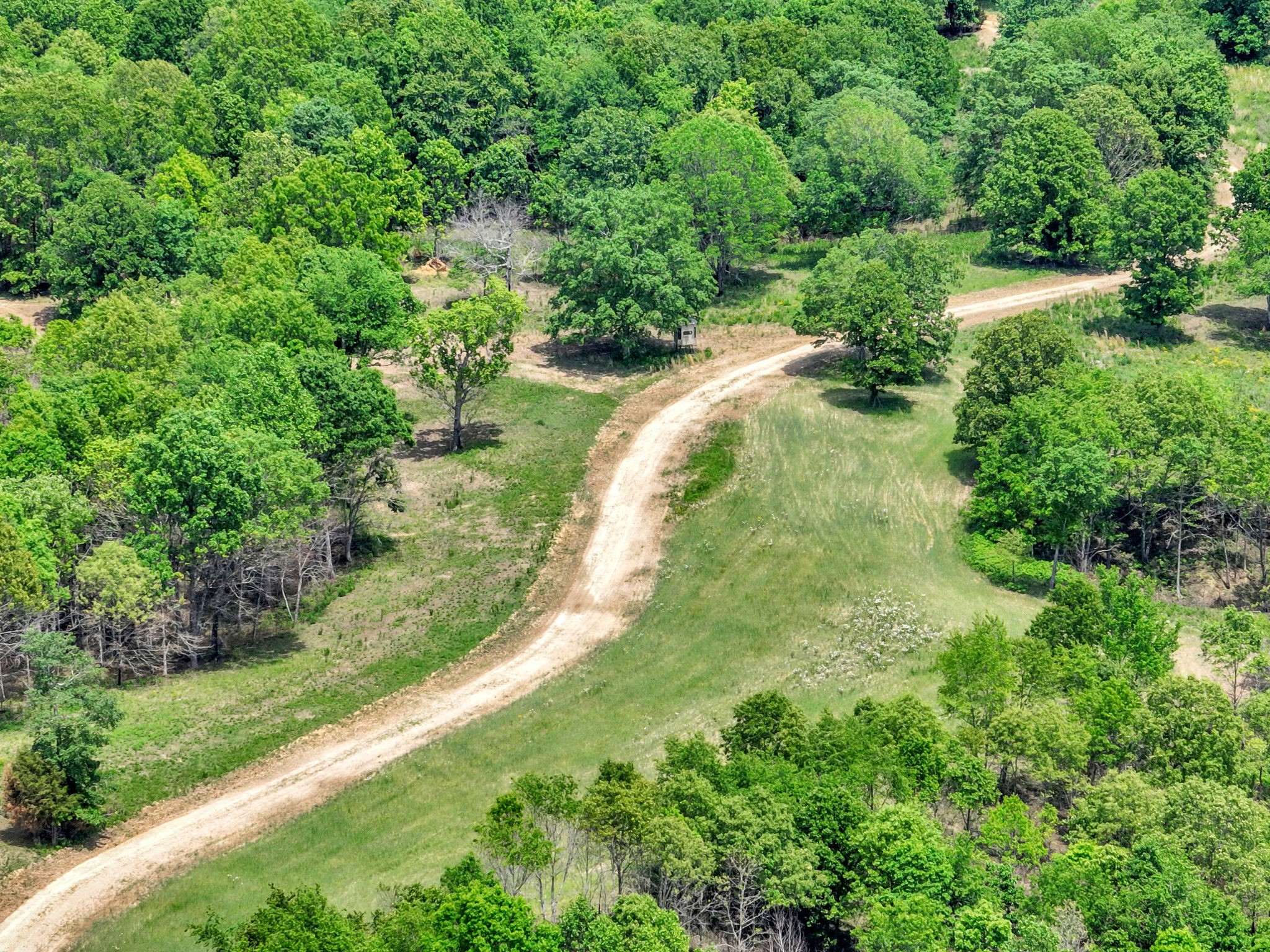 0 Shoulder Strap Branch Road Vanleer, TN 37181 - Photo 23 of 40 Gallery Image 23