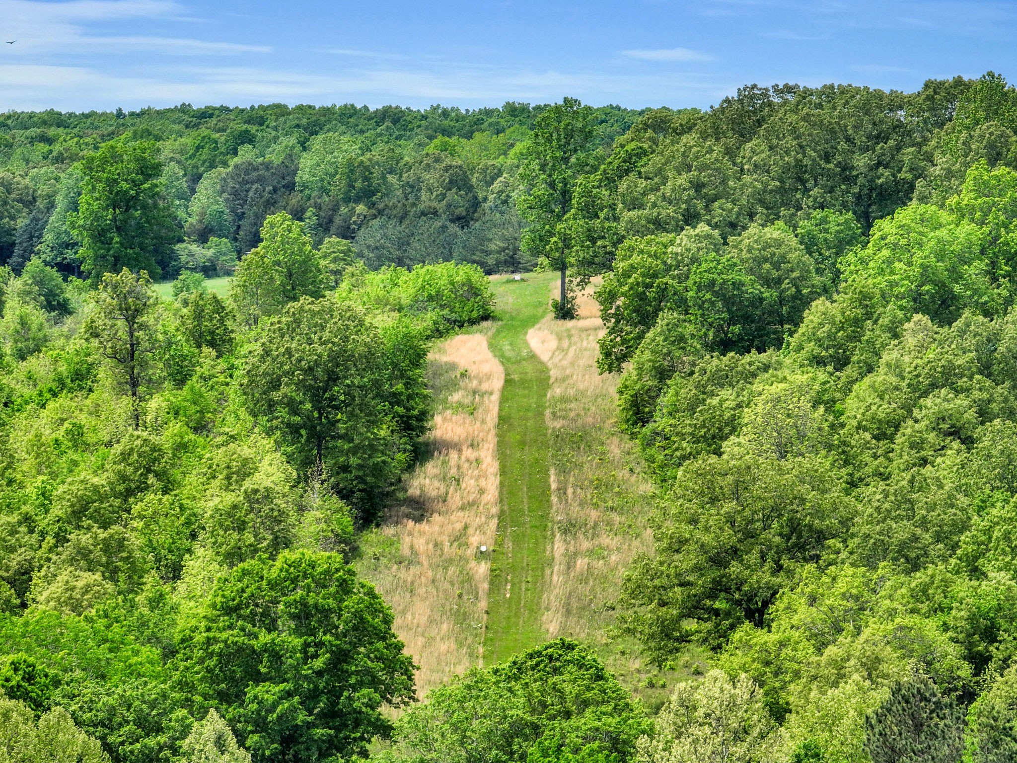 0 Shoulder Strap Branch Road Vanleer, TN 37181 - Photo 27 of 40 Gallery Image 27